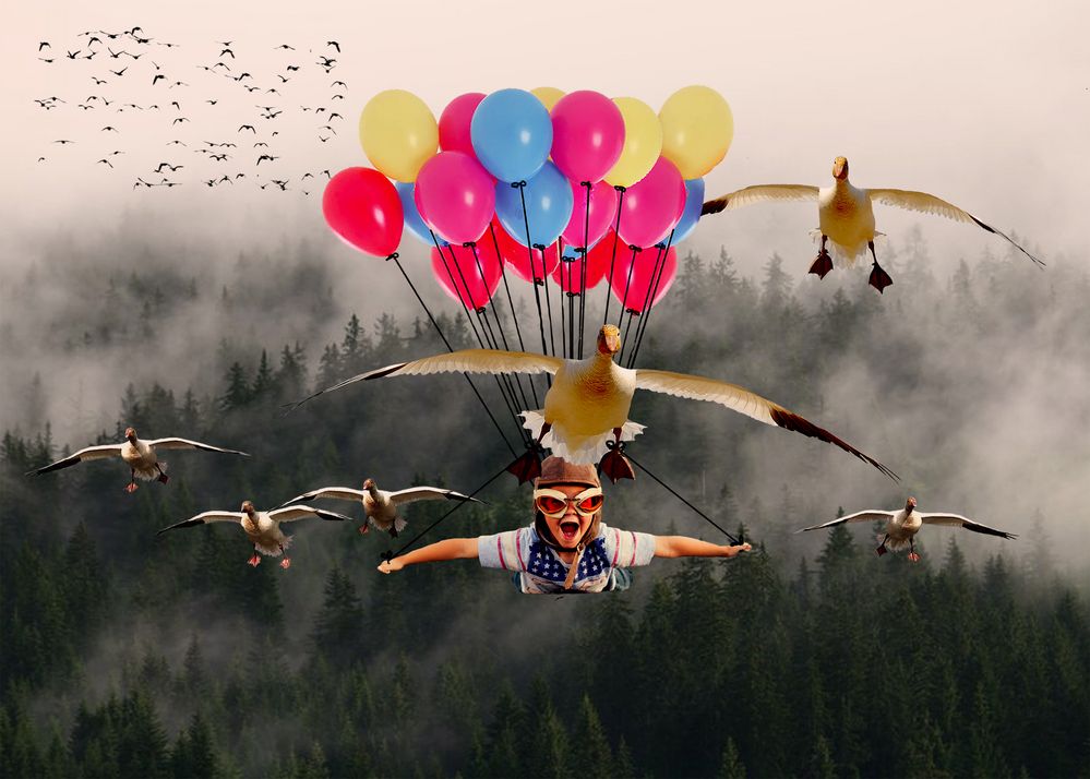 Un rêve voler avec les oies.... photo et image personnes, special, sujets Images