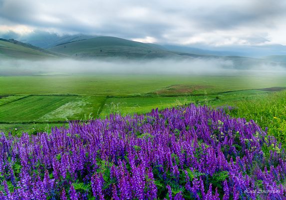 Un salto a Castelluccio