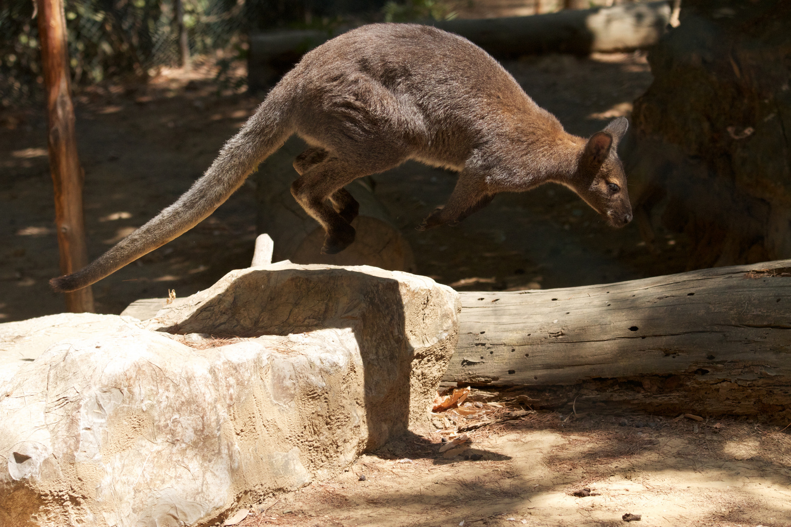 Un salto in Australia