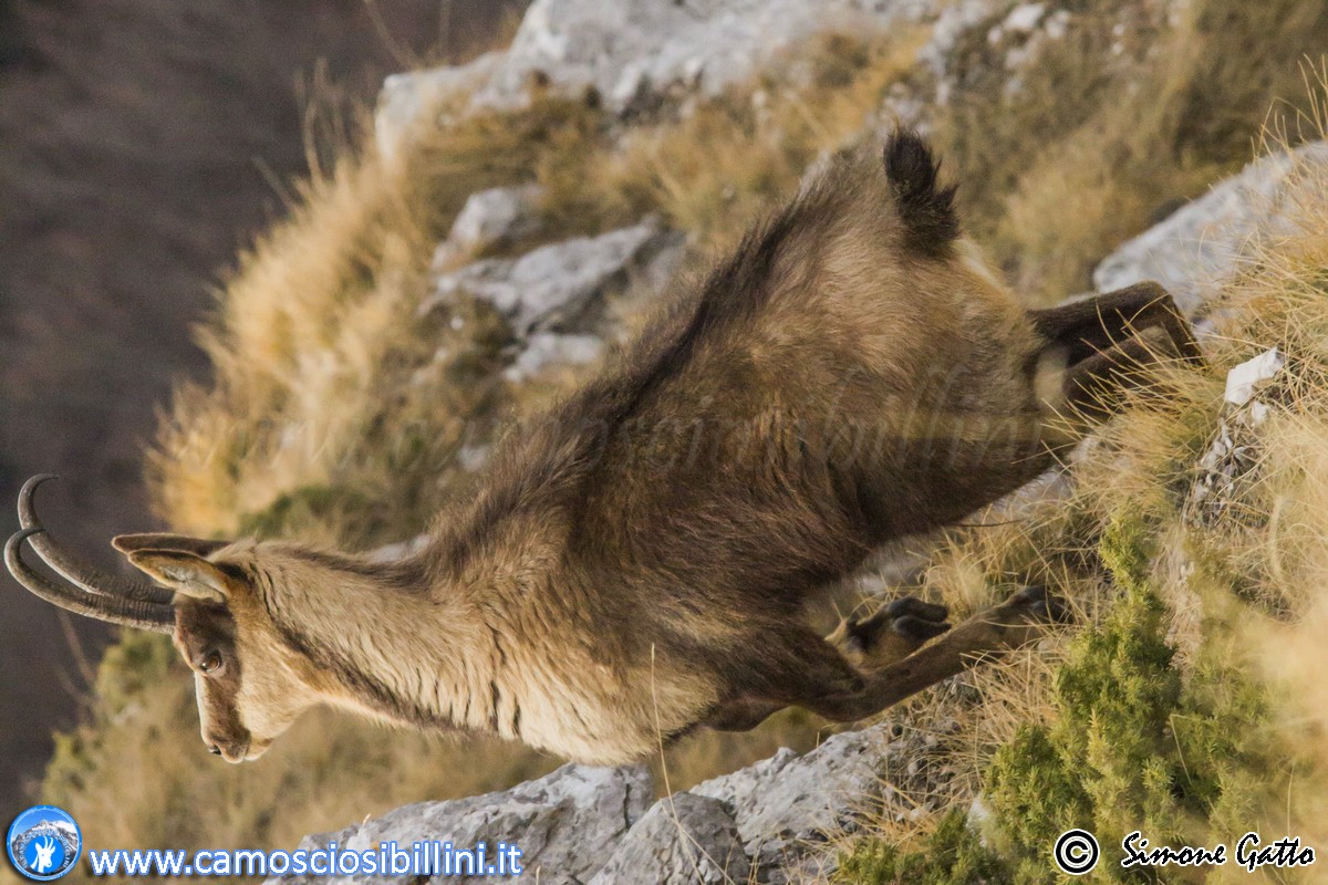 Un Salto verso la cima