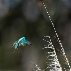 Un saut en avant 