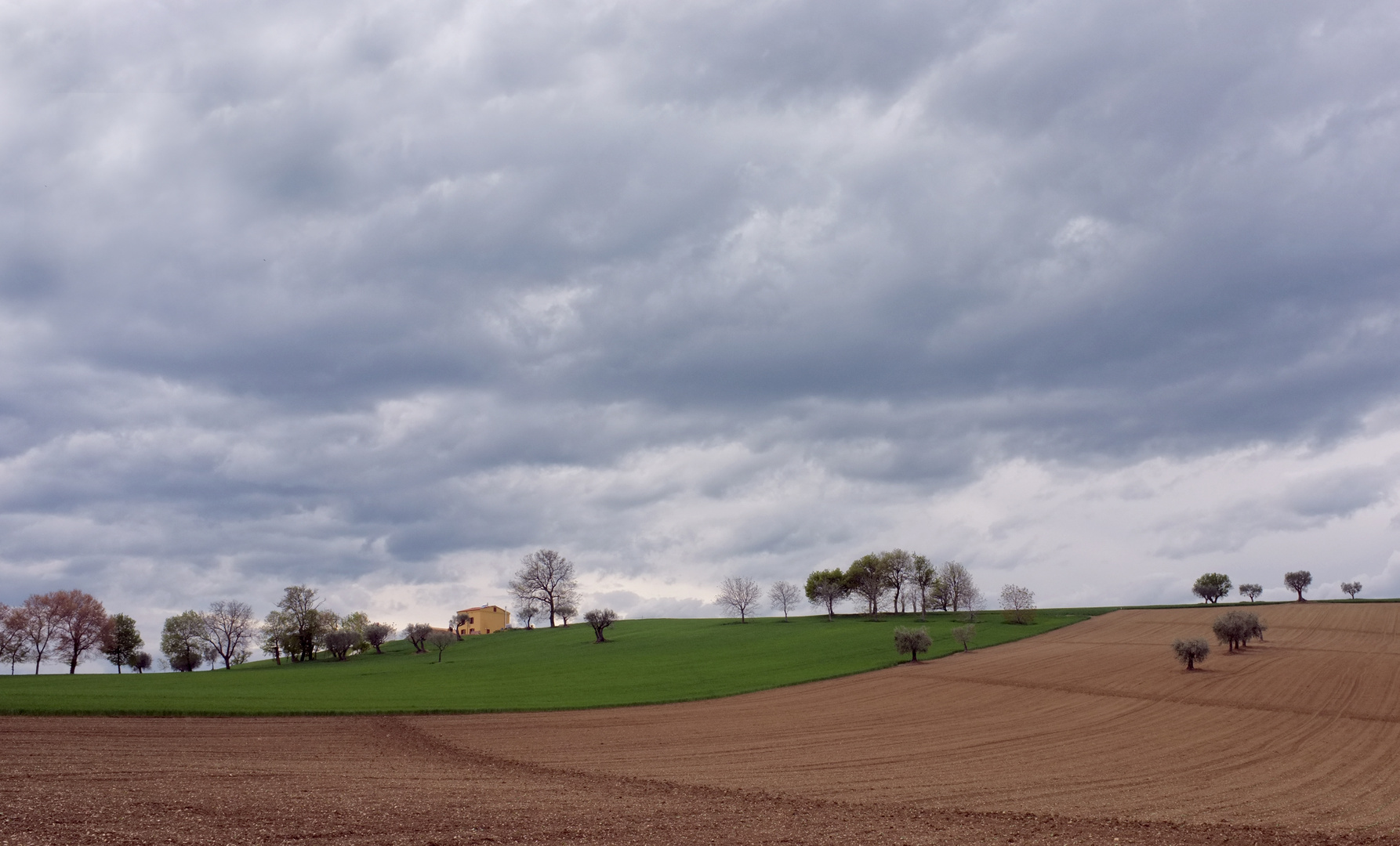 un semplice paesaggio