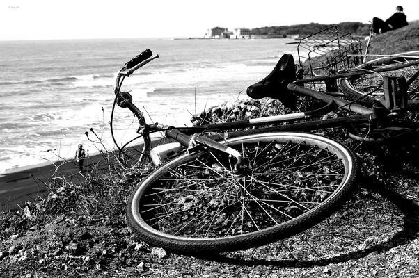 un senso di libertà!