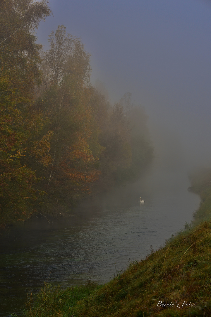 Un signe (cygne) dans la brume