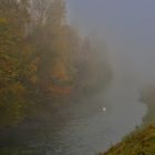 Un signe (cygne) dans la brume