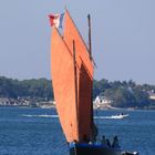 Un sinagot devant l'Île aux Moines (Golfe du Morbihan)