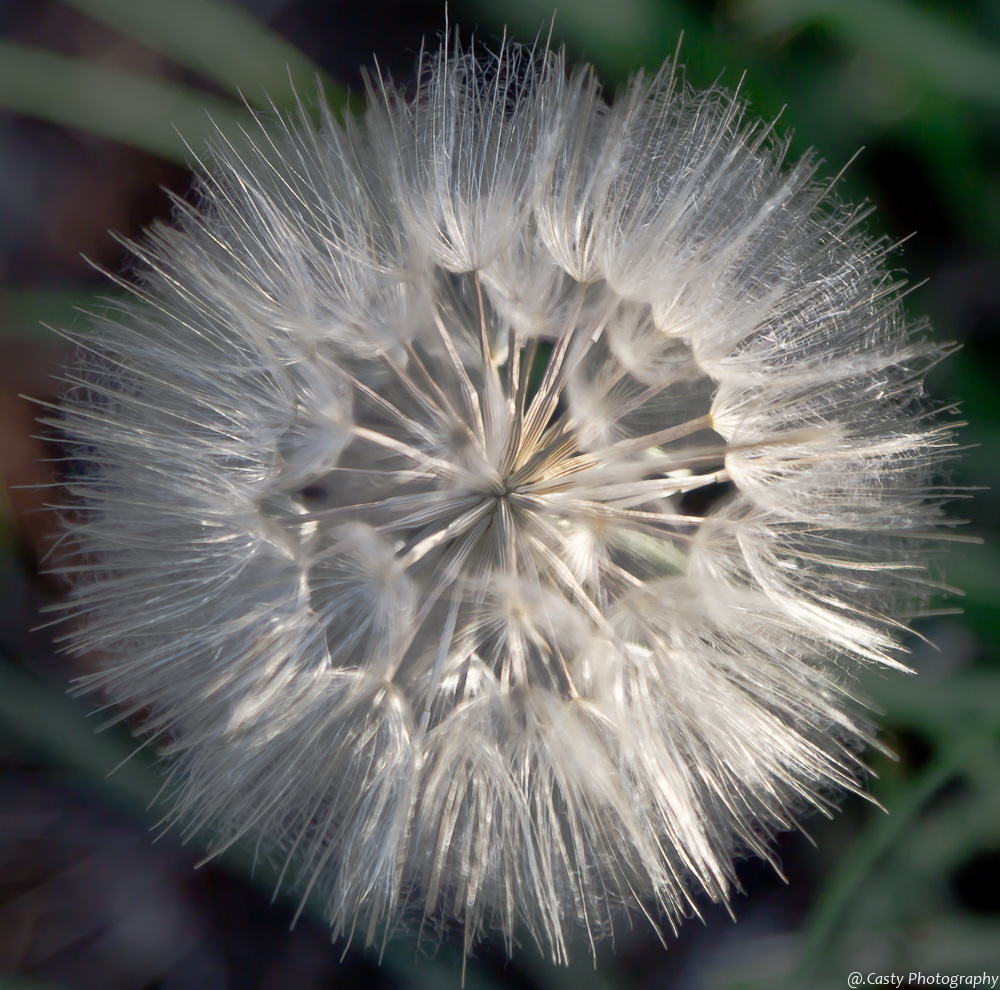 Un soffio di luce