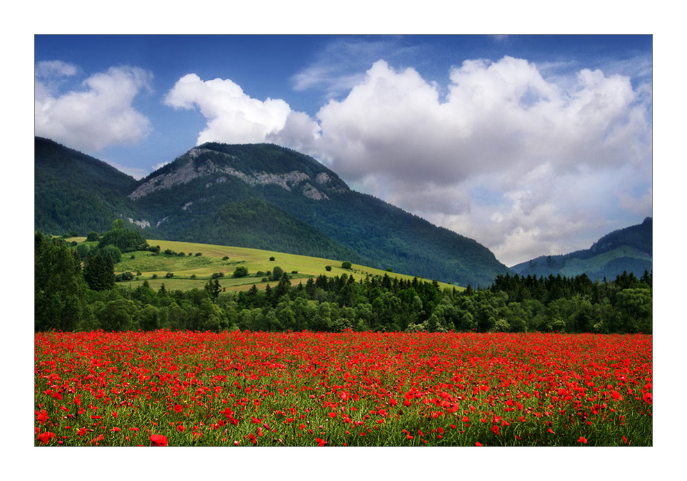 Un Sogno di Primavera