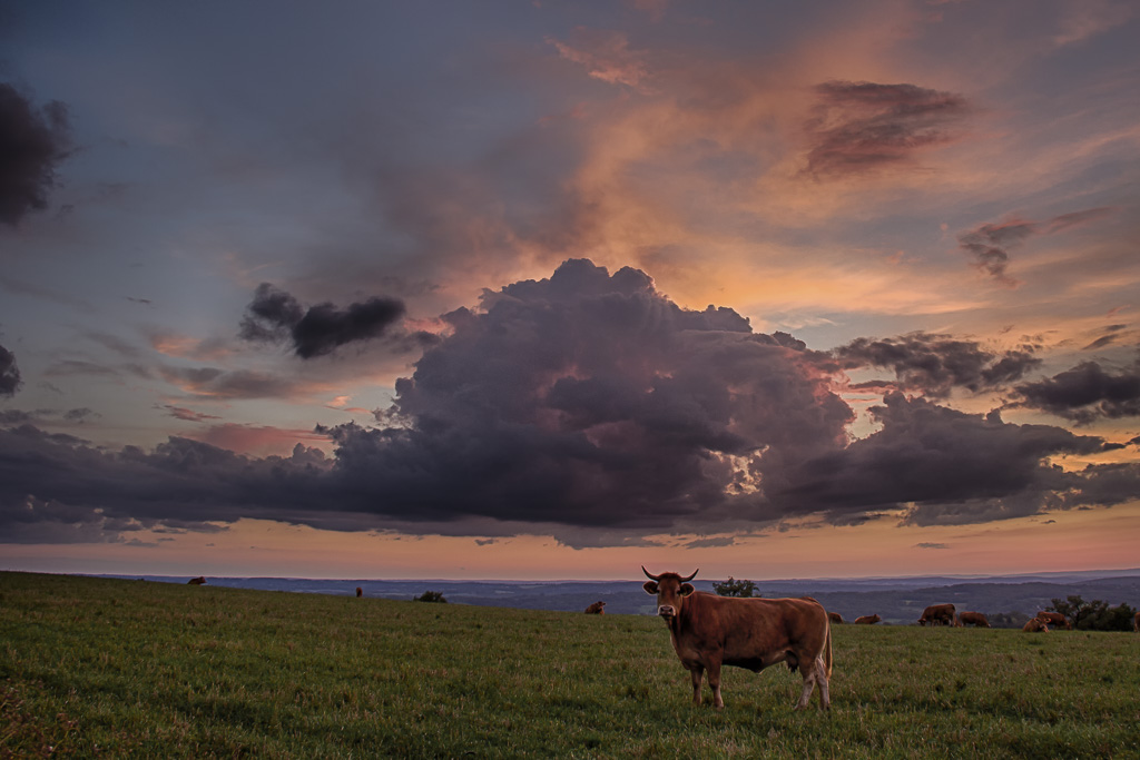 Un soir...