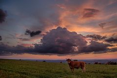 Un soir...