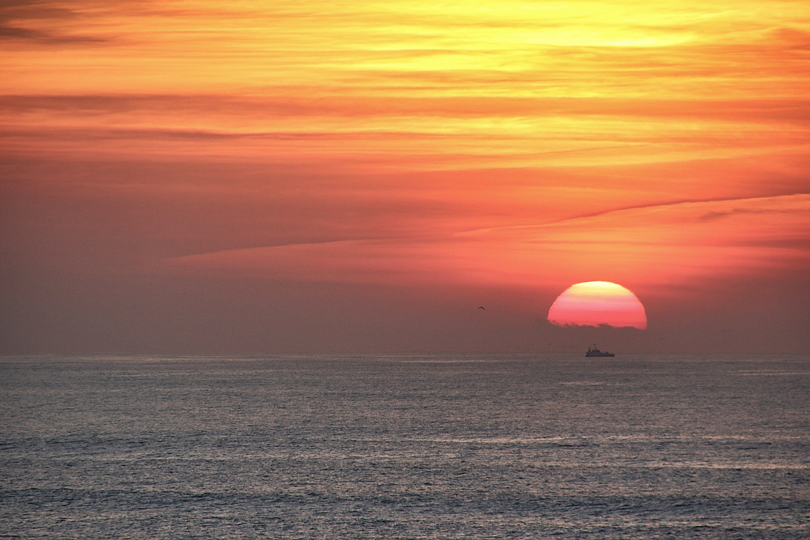 un soir ! photo et image nature Images