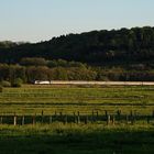 Un soir à la campagne