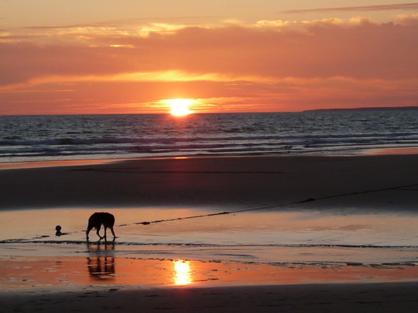 un soir aout 2011 en vendée ....