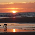 un soir aout 2011 en vendée ....