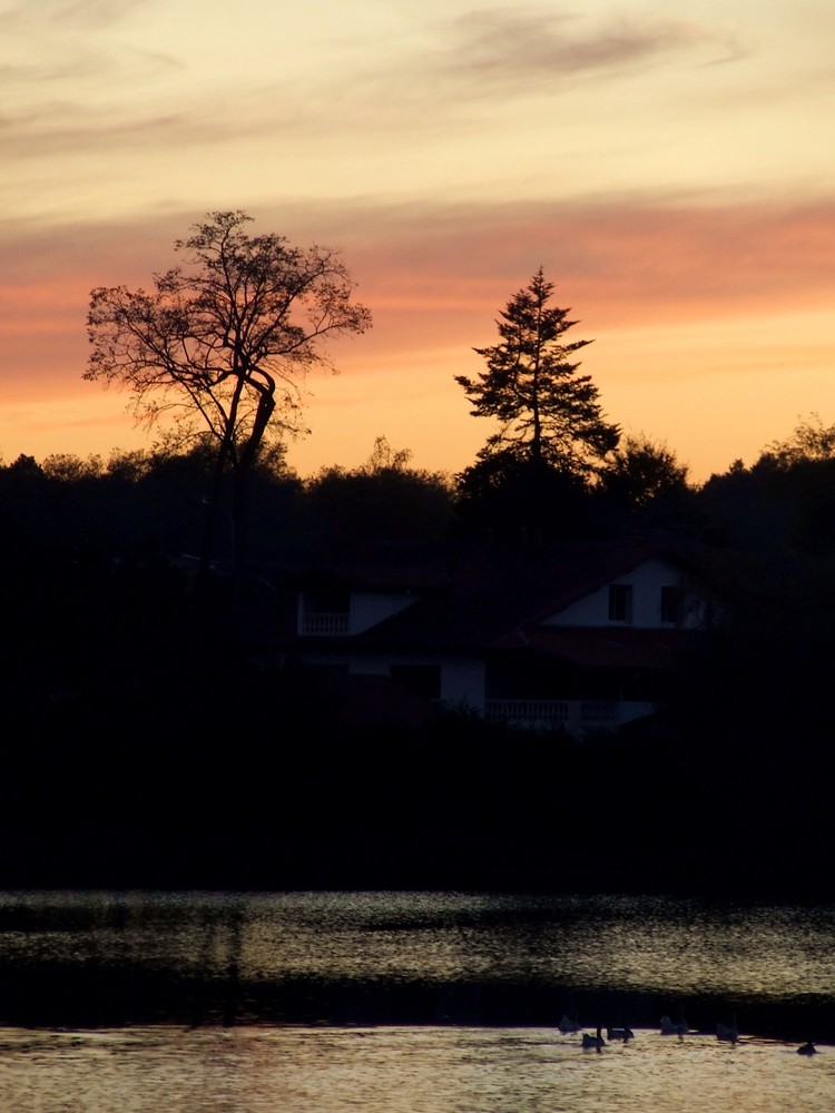 Un soir, au lac .