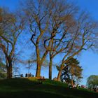 Un soir aux Buttes-Chaumont