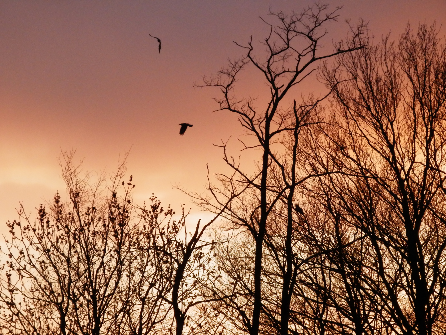 un soir avant la pluie