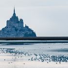 Un soir avec Le Mont-Saint-Michel - II