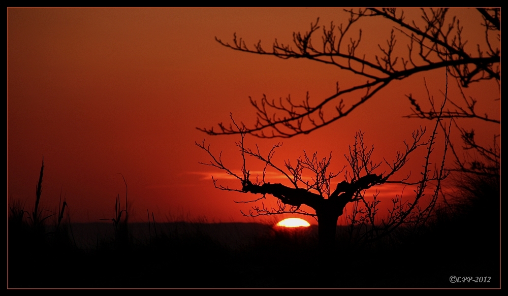 ... un soir, combien de... / ... ein Abend, wie viele ...