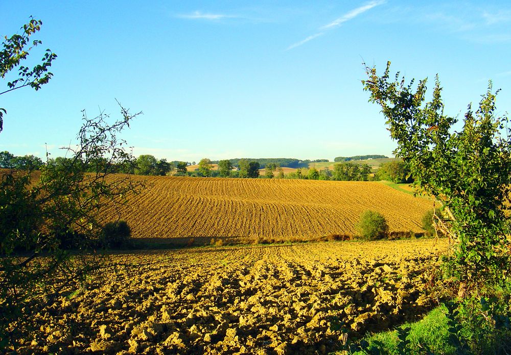 Un soir dans le Gers...