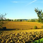 Un soir dans le Gers...