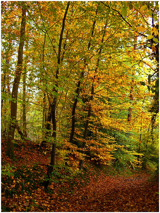 Un soir d'automne...