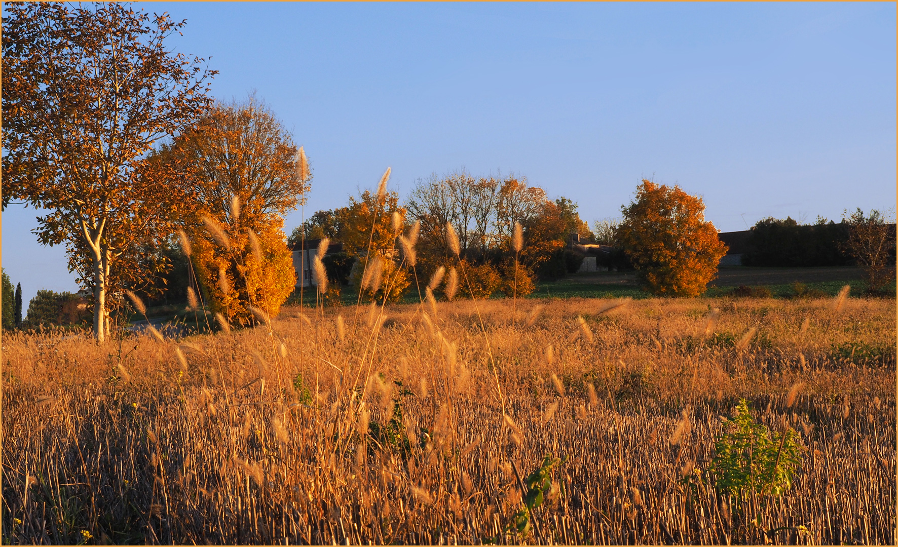 Un soir d‘automne dans le Gers