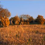 Un soir d‘automne dans le Gers