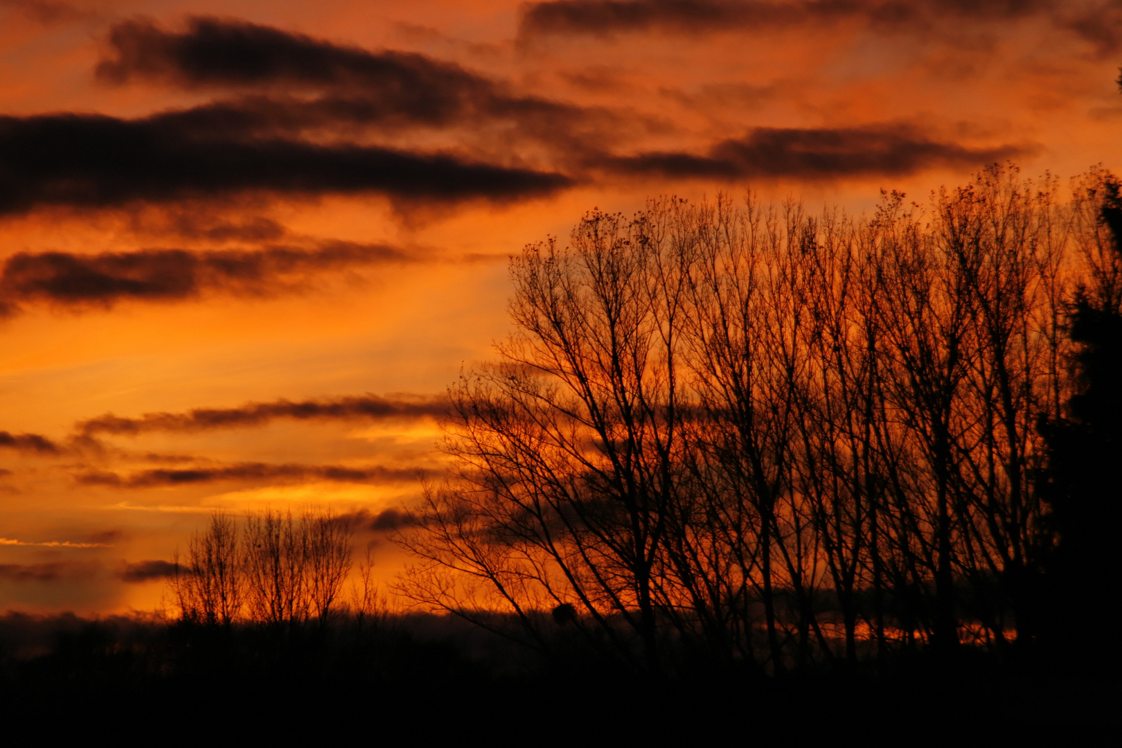 Un soir d'automne.