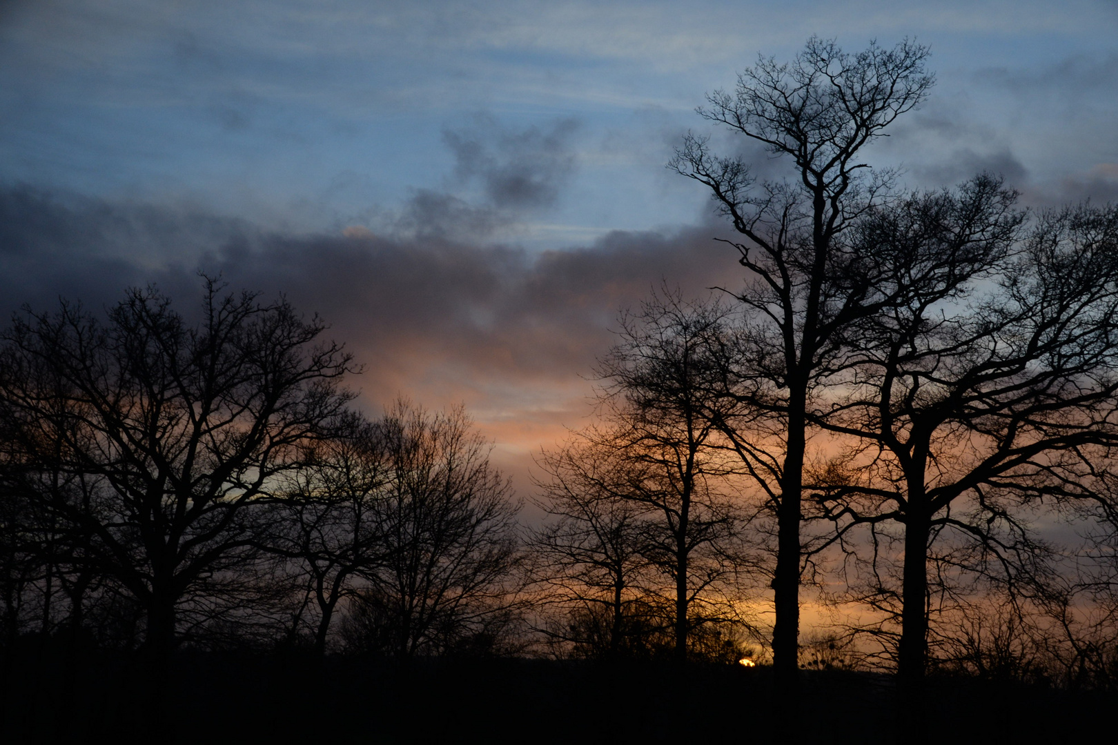 Un soir de février à la campagne