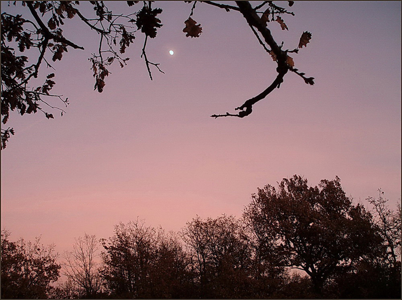 Un soir de novembre