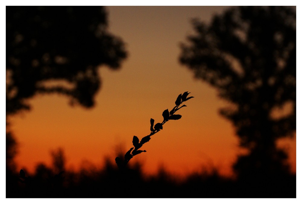 un soir de septembre