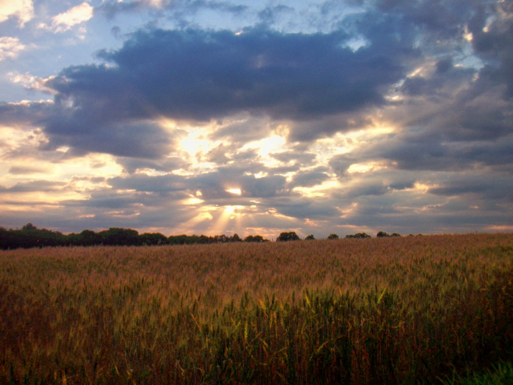 un soir d'été