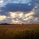 un soir d'été