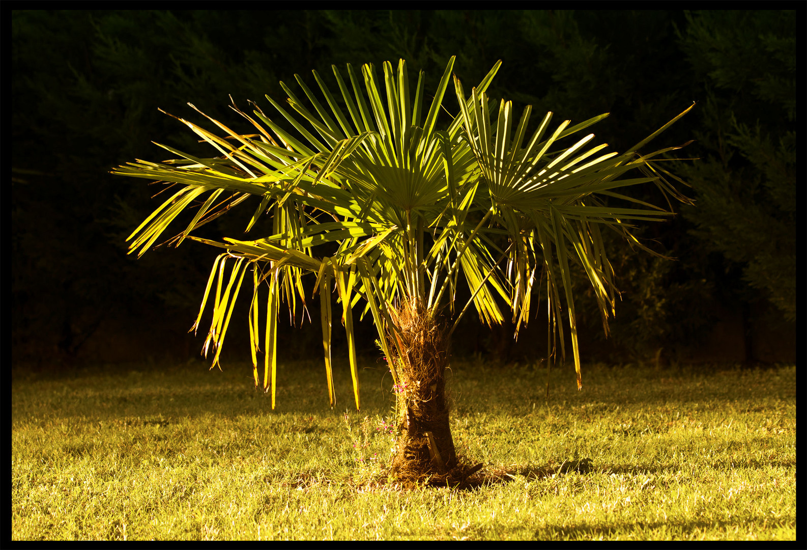 Un Soir d'été à 21 Heures