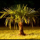 Un Soir d'été à 21 Heures