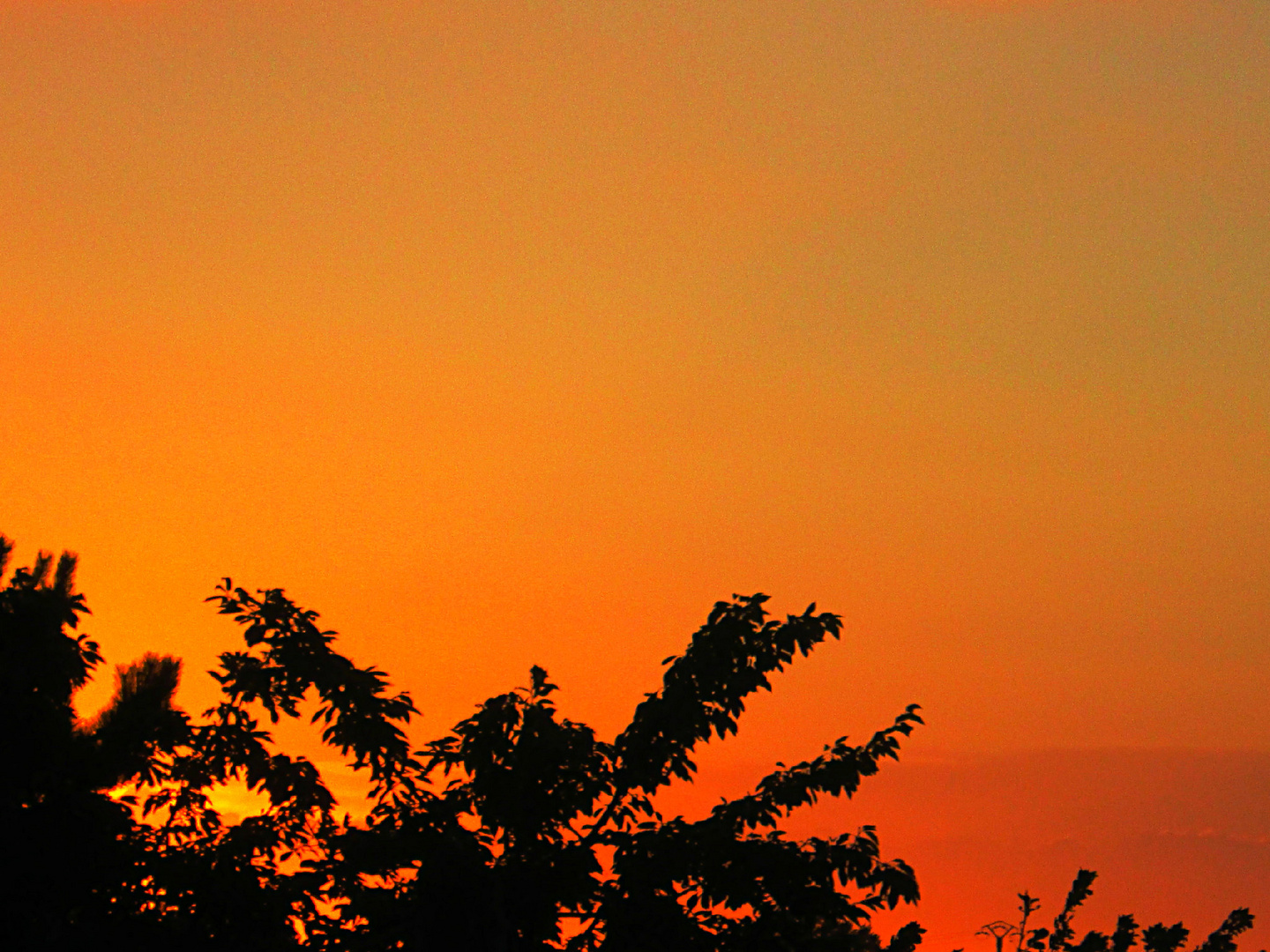 Un soir d'été