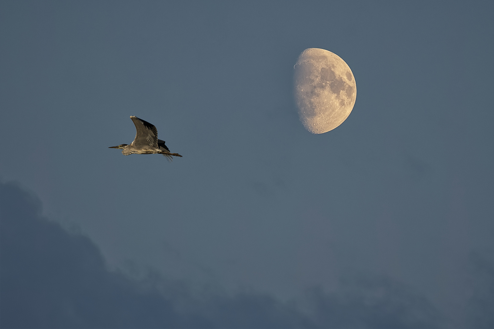 Un soir d'été