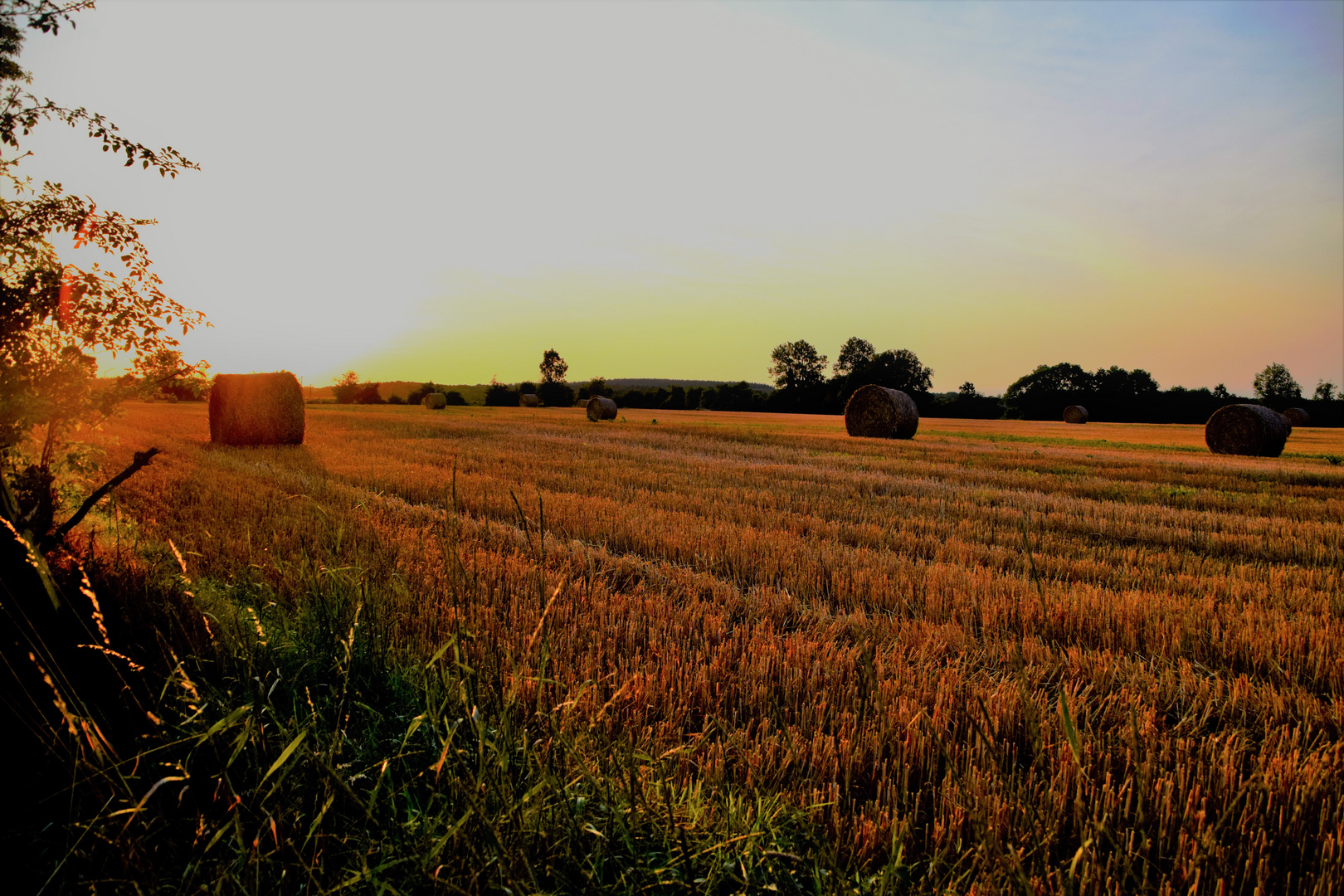 un soir d'été 