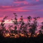 Un soir devant chez moi