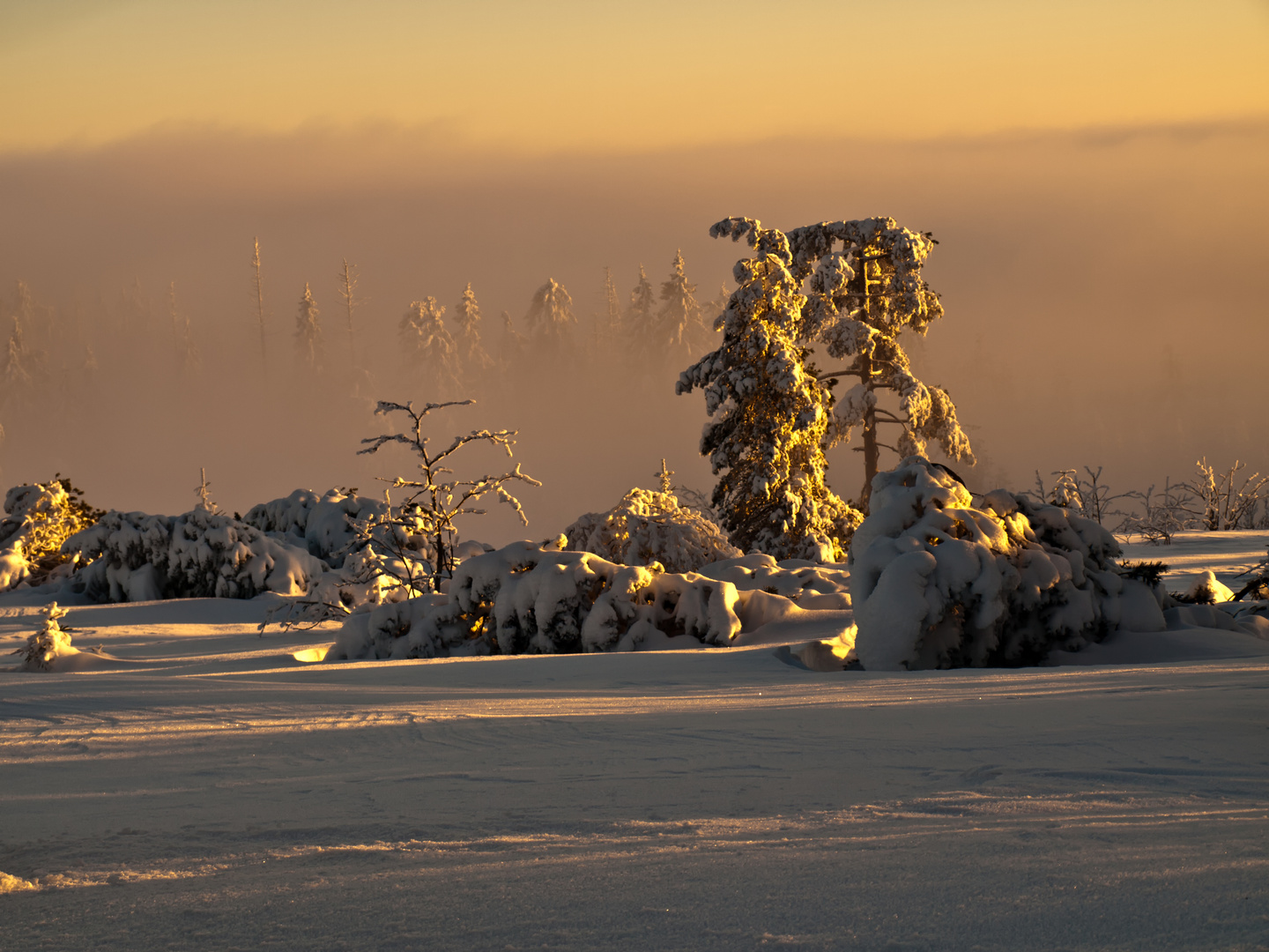 un soir d'hiver