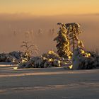 un soir d'hiver