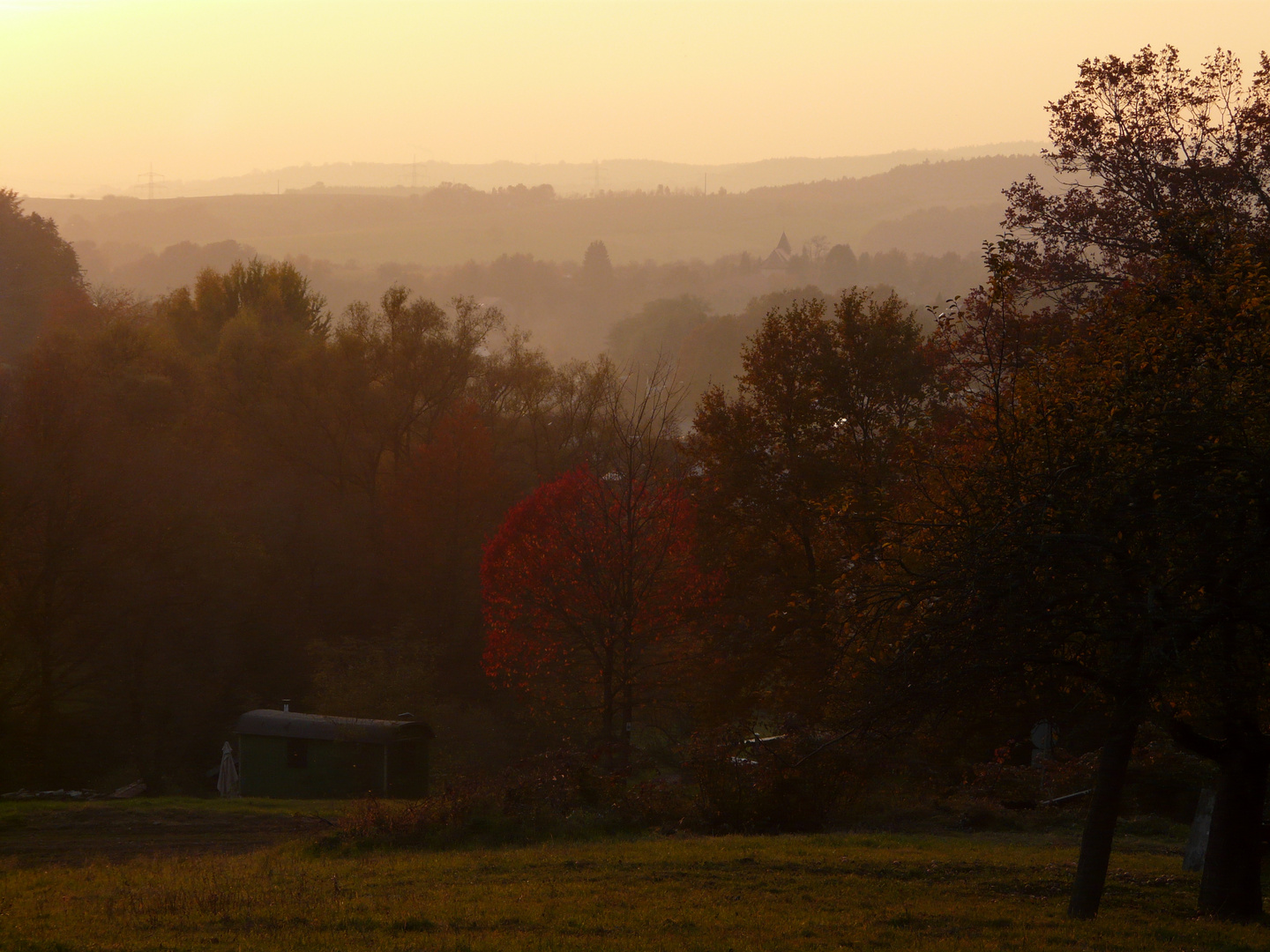 Un soir d'octobre dans le parc naturel du Spessart