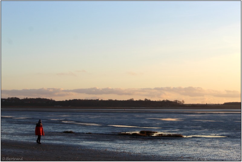 un soir en baie de Somme...