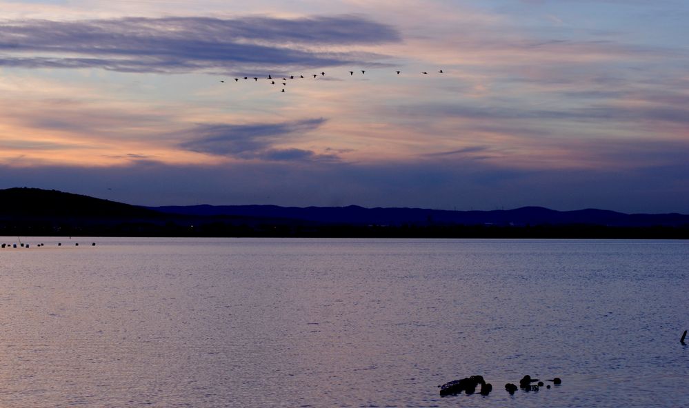 Un soir, en Camargue ....