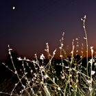 Un soir en Octobre