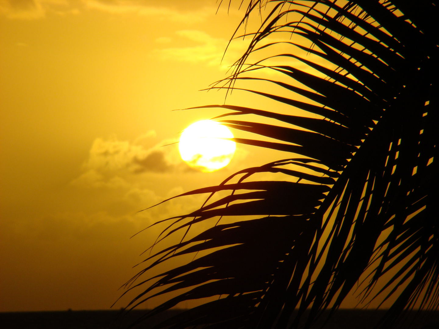 un soir sur la plage de moorea