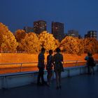 Un soir sur la Seine