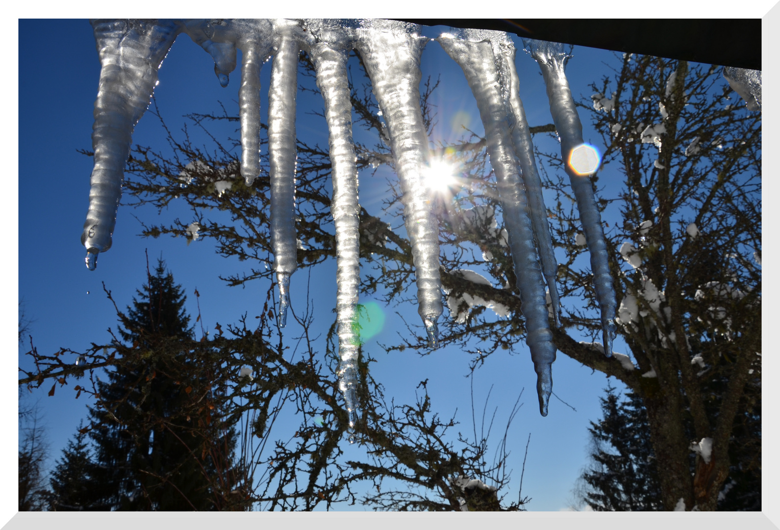 Un soleil de glace