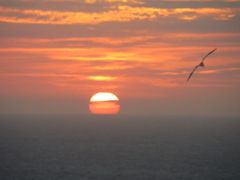 un soleil, une mouette passe